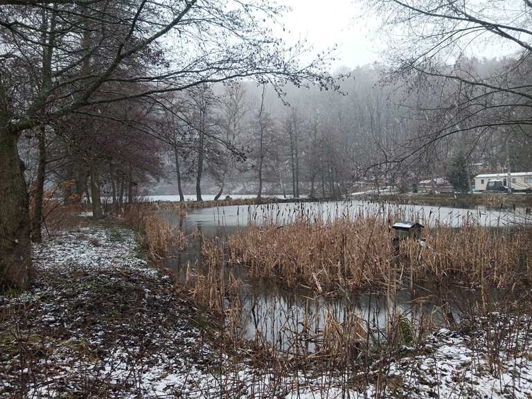 Schönsee Routes for Walking and Hiking | Komoot