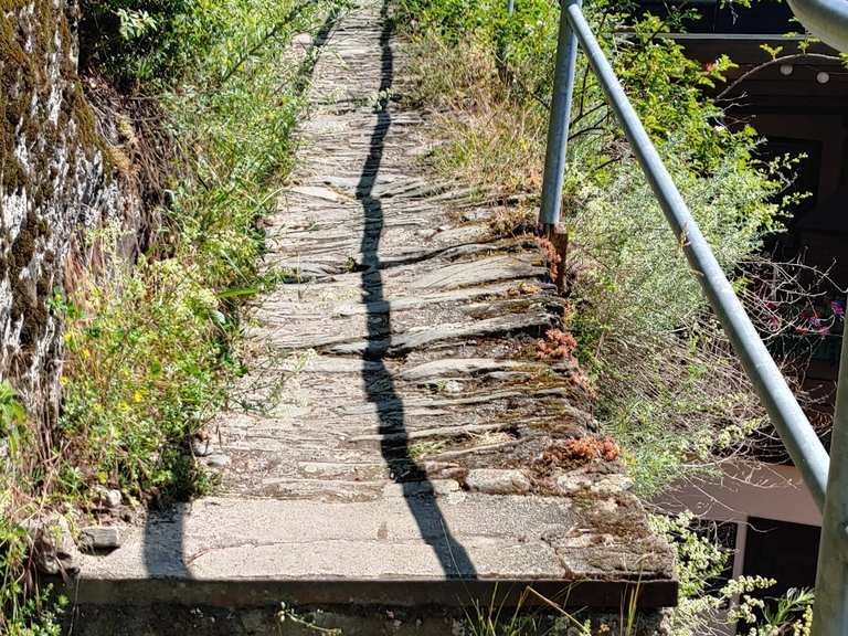 DreiBurgenBlick View of Katz Castle loop from St. Goarshausen