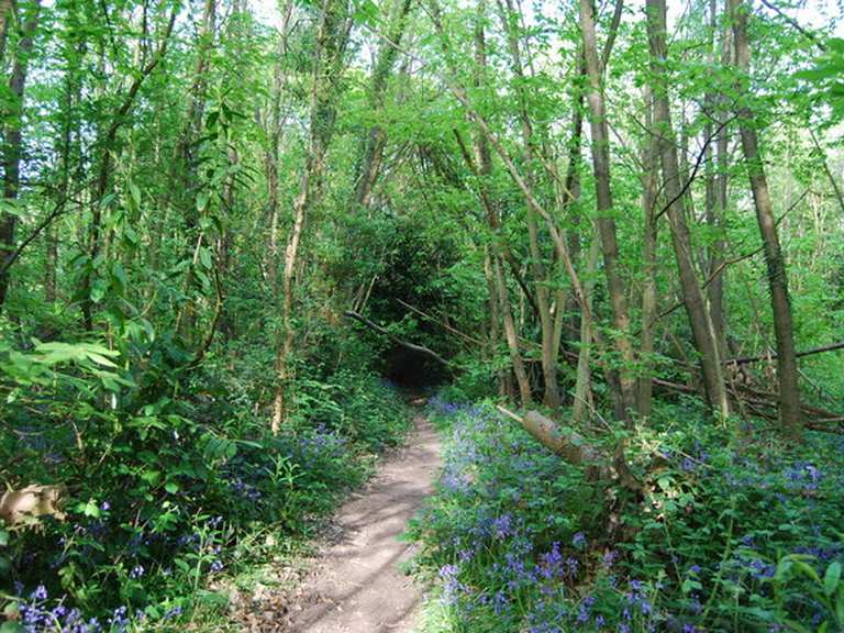 Stage 4 Groombridge to Matfield — High Weald Landscape Trail hike