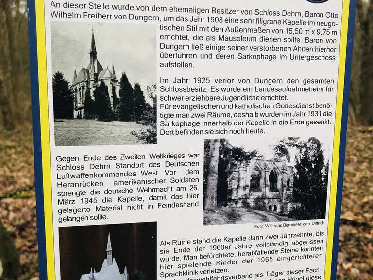 kamelien dngen zeitpunkt Kamelien Dnger-Set