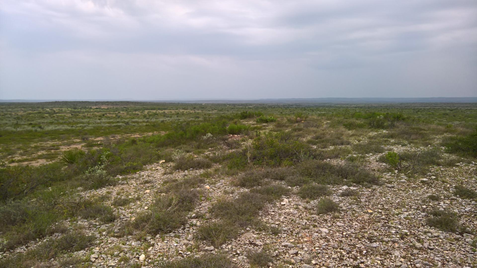 Vast, flat, rocky landscape with sparse vegetation under an overcast sky.