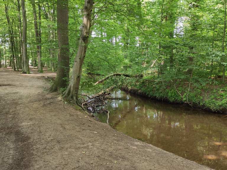 Lutter Wald NordrheinWestfalen, Deutschland Radtouren