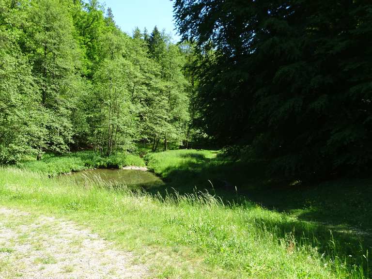 Michelsee bei AglasterhausenMichelbach Aglasterhausen