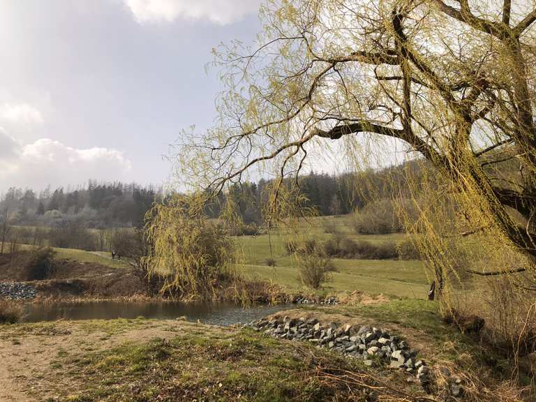 35+ Am Teiche 5 38889 Heim Burg, Finden sie hier mietpreise &amp;
