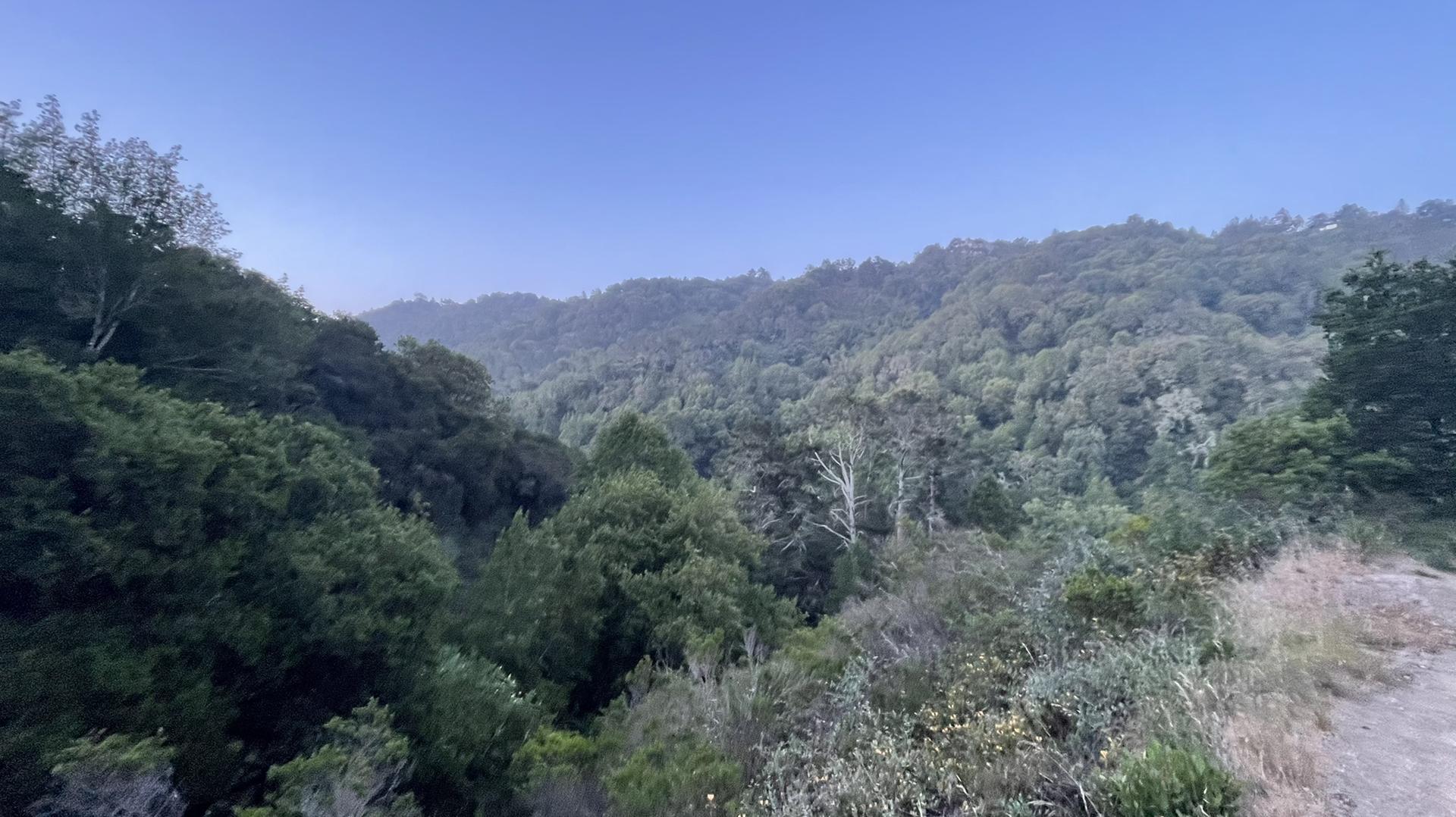 Dense green forested hills under a hazy, soft blue sky.