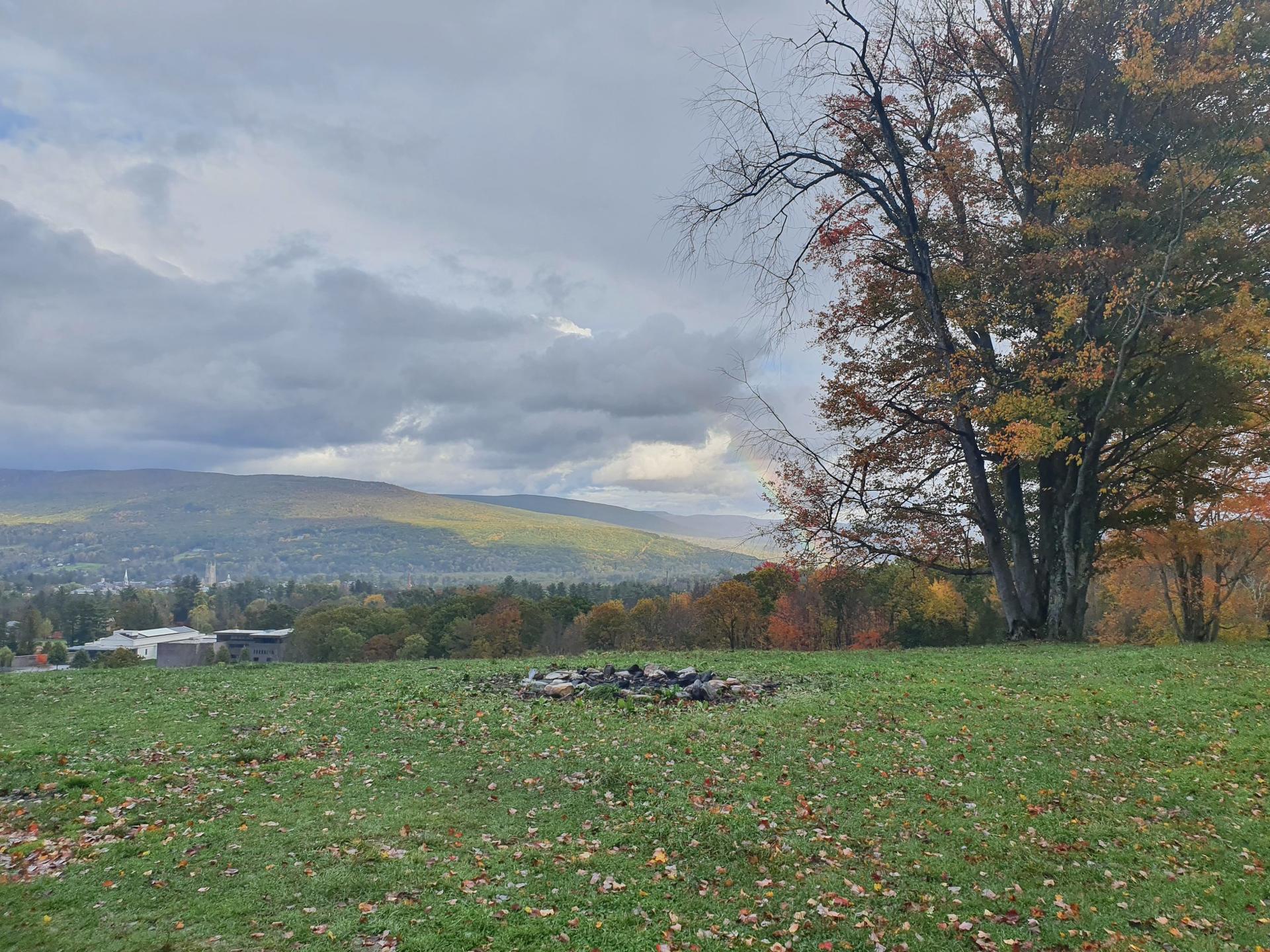 Overcast view of a fire pit on a grassy hill with a large autumn tree.