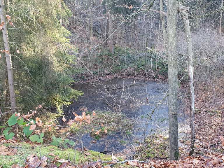 Wilder Teich am Basaltweg am Basaltbruch Wanderungen und Rundwege komoot