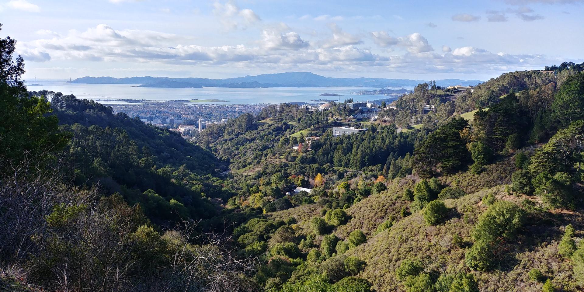Panoramic view of a green valley, distant city, and large body of water.