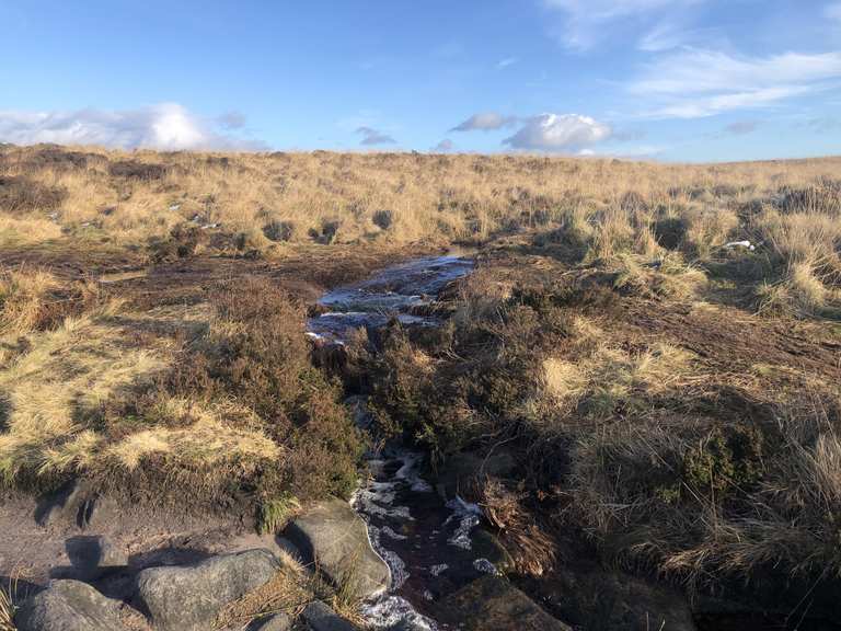 Heather moorland Routes for Walking and Hiking | Komoot