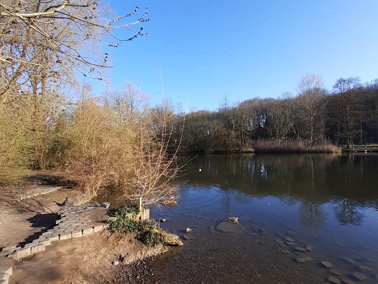 Oberer SternbergTeich Wanderungen und Rundwege komoot