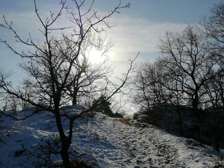 Oudsberg Duinengordel Oudsberg Rondje vanuit Oudsbergen wandeling