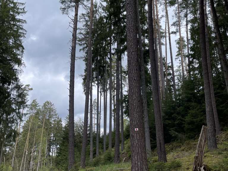 Martersäule mit Kreuz und Jahreszahl Wanderungen und Rundwege komoot