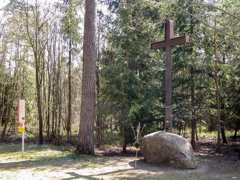 Manhartsberg MountainbikeTouren und Trails komoot