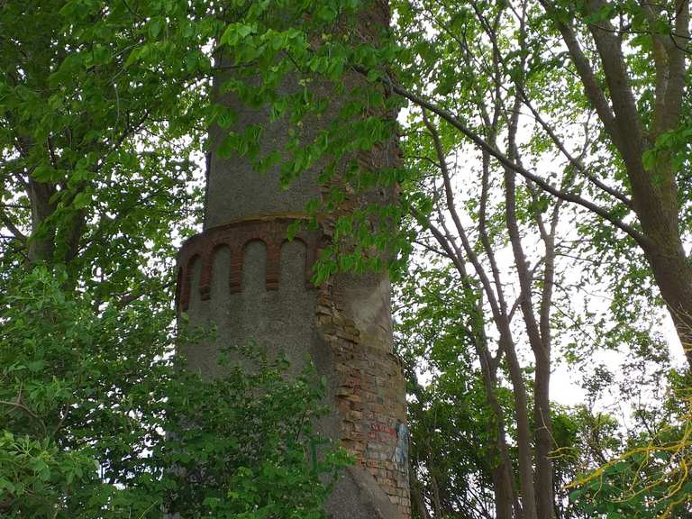 Mäuseturm Wanderungen und Rundwege komoot