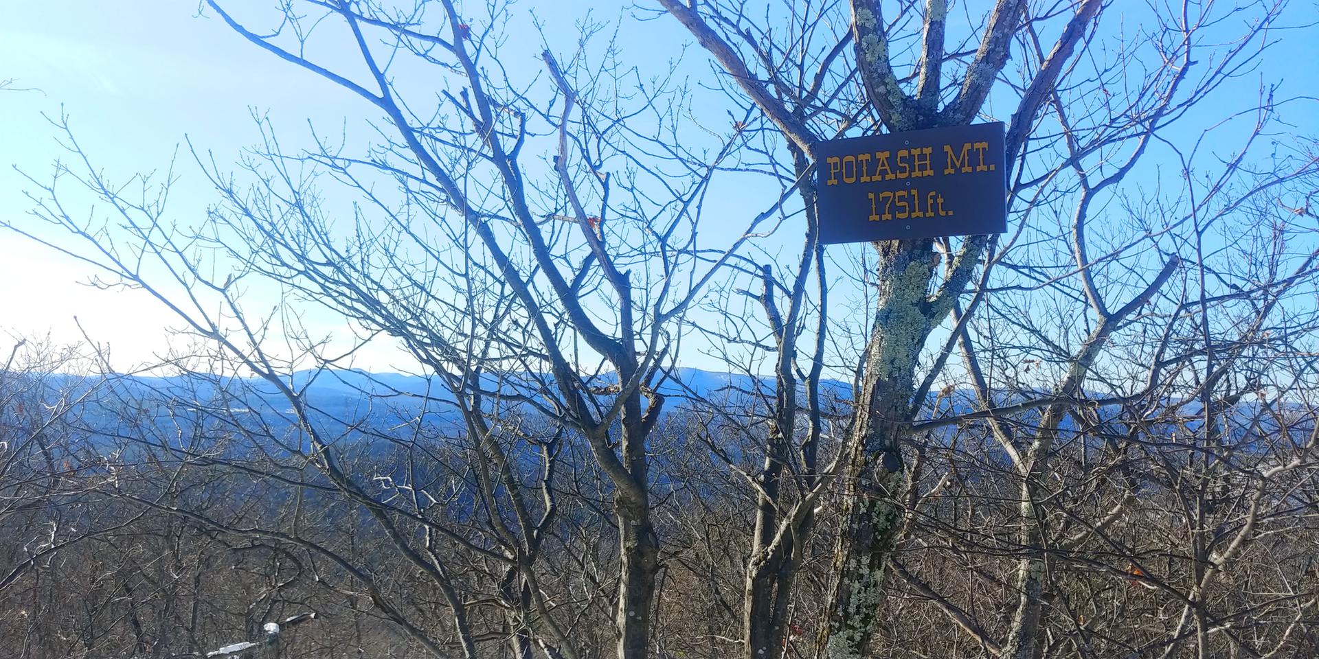 Wooden sign on bare tree overlooking distant mountains under clear sky.