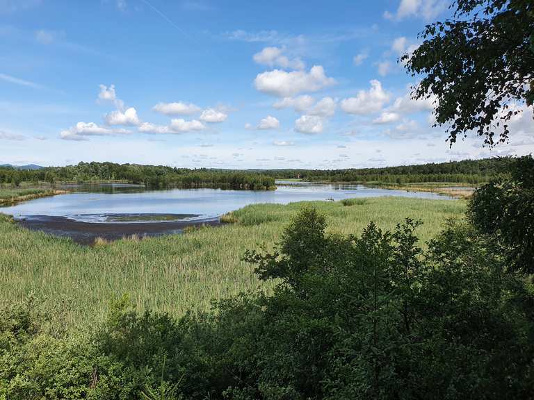 Aussichtsturm Ainringer Moor Wanderungen und Rundwege komoot
