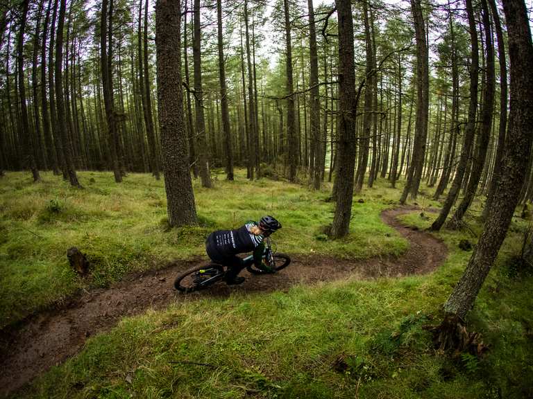 Glentress green hot sale route