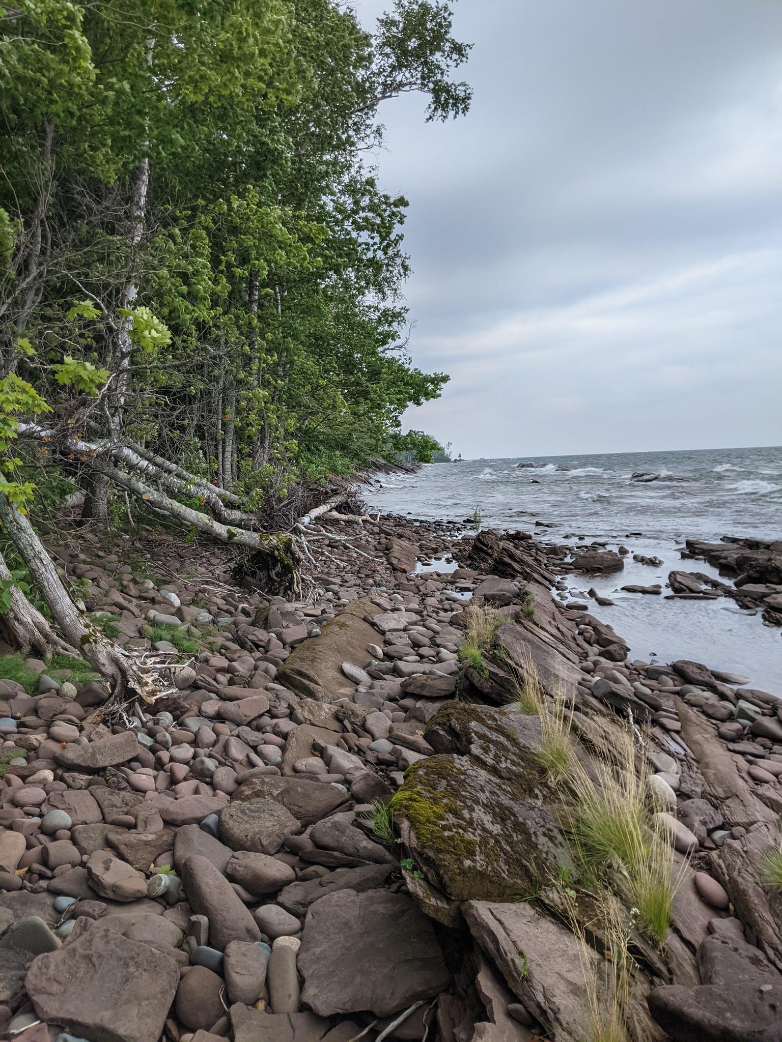 Rocky shoreline with trees leaning over choppy water under a cloudy sky.