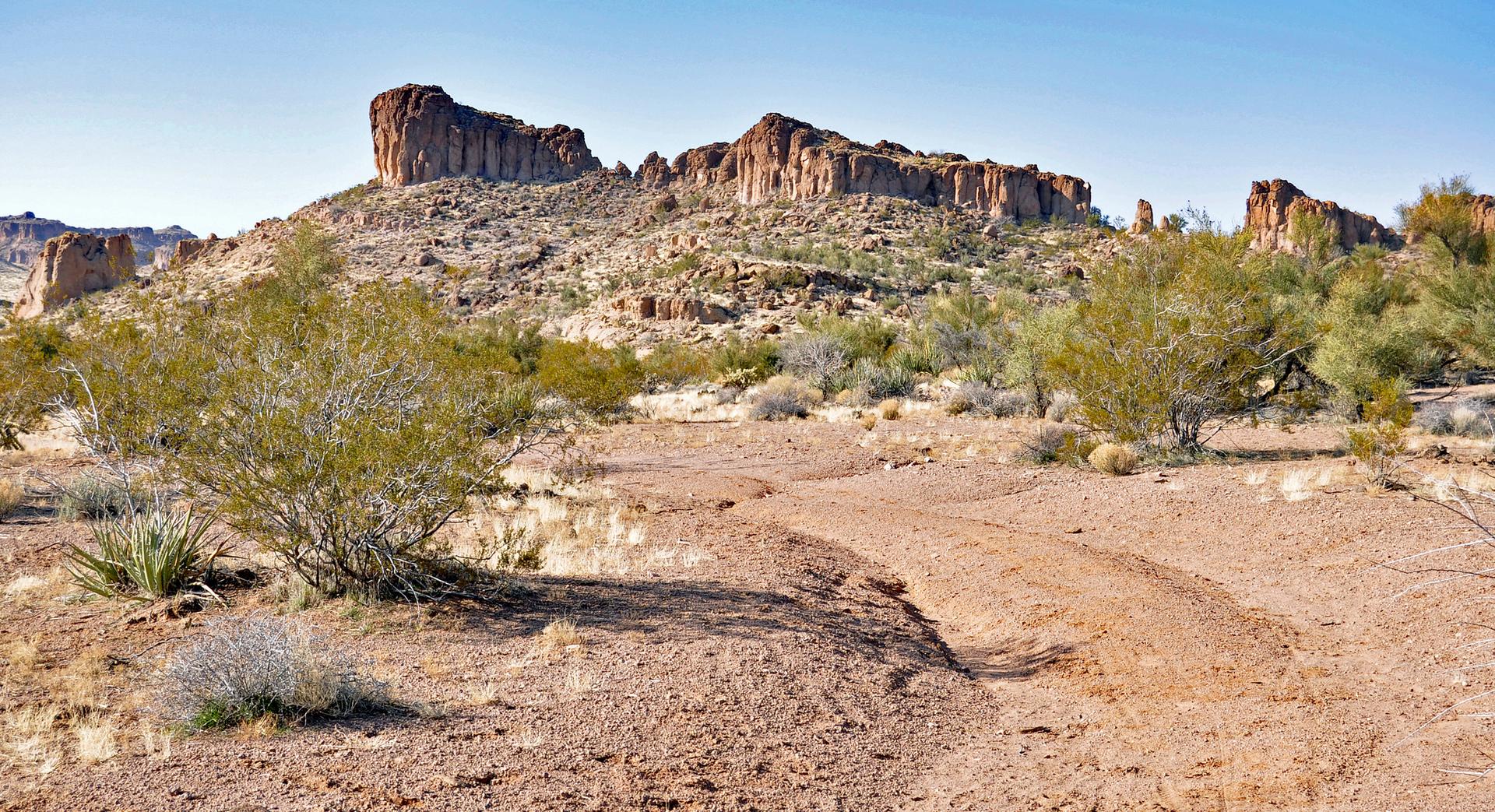 Desert landscape with a large rocky mesa, sparse bushes, and clear blue sky.