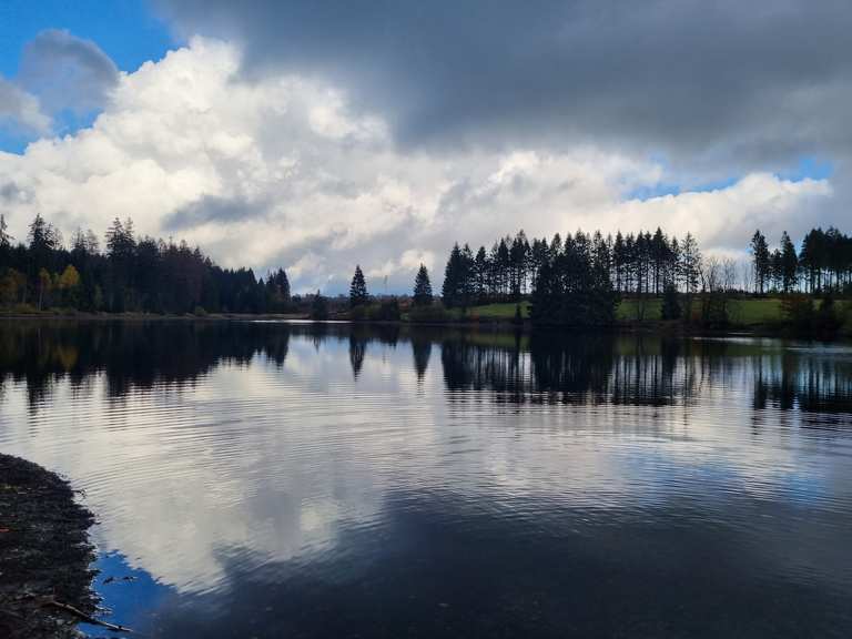 Hasenbacher Teich Wanderungen und Rundwege komoot