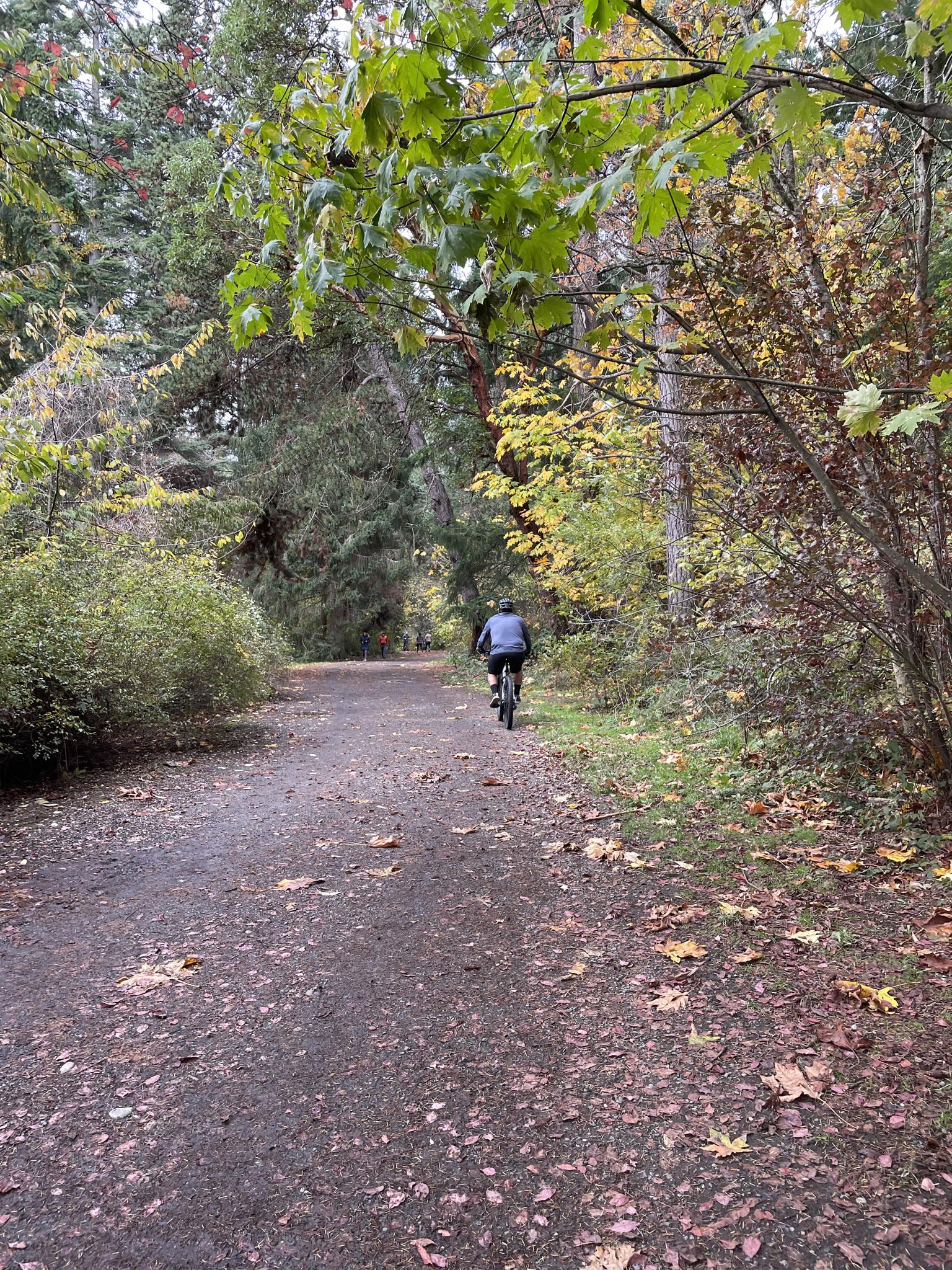 Person cycling on a dirt path through dense autumn trees.