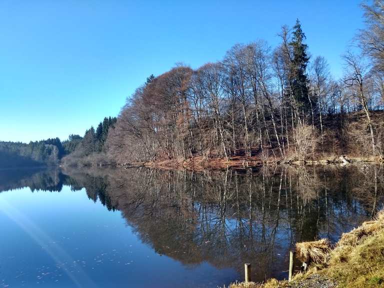 Weldener Weiher - Mountain Bike Trails & Tracks | Komoot