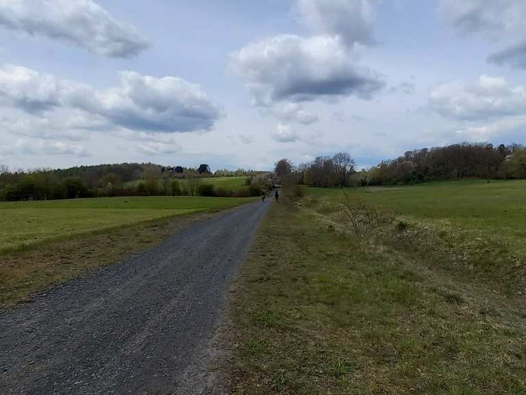 Kerstlingeröder Feld (Naturschutzgebiet im Göttinger Stadtwald) - Cycle