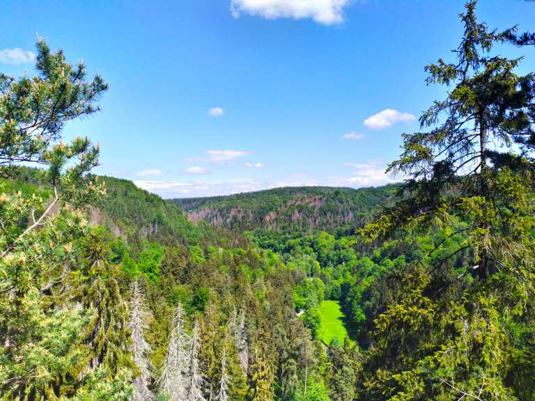 Blick auf die Burg Hohnstein und das Polenztal vom Hockstein ...