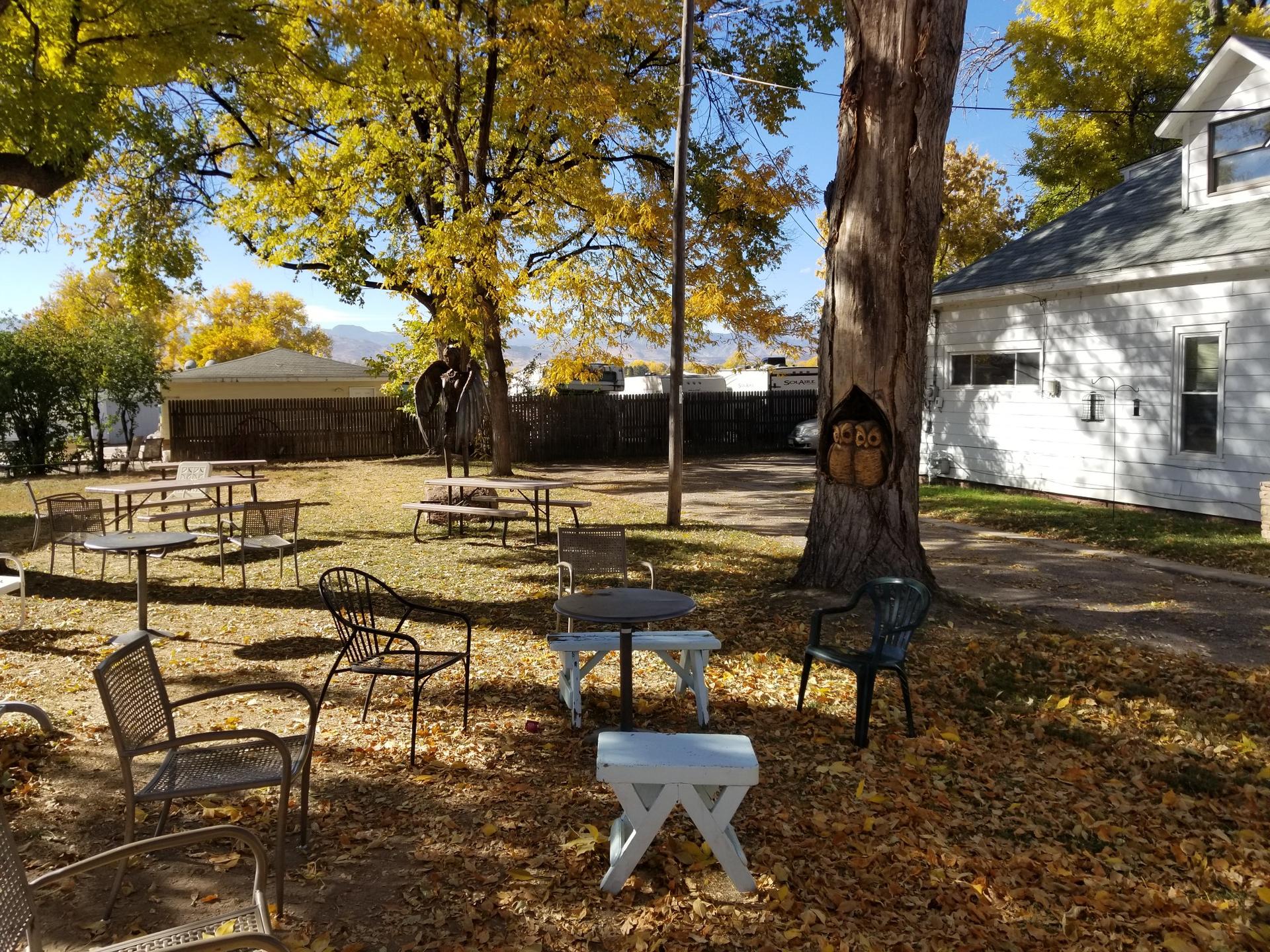 Outdoor seating area under large trees with yellow autumn leaves, sunny.