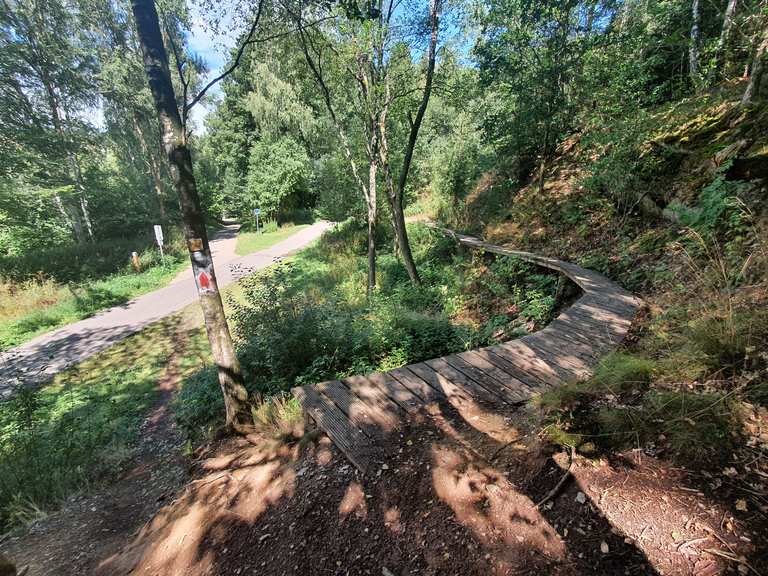 MTB Park St. Vith Mountain Bike Trails Tracks Komoot