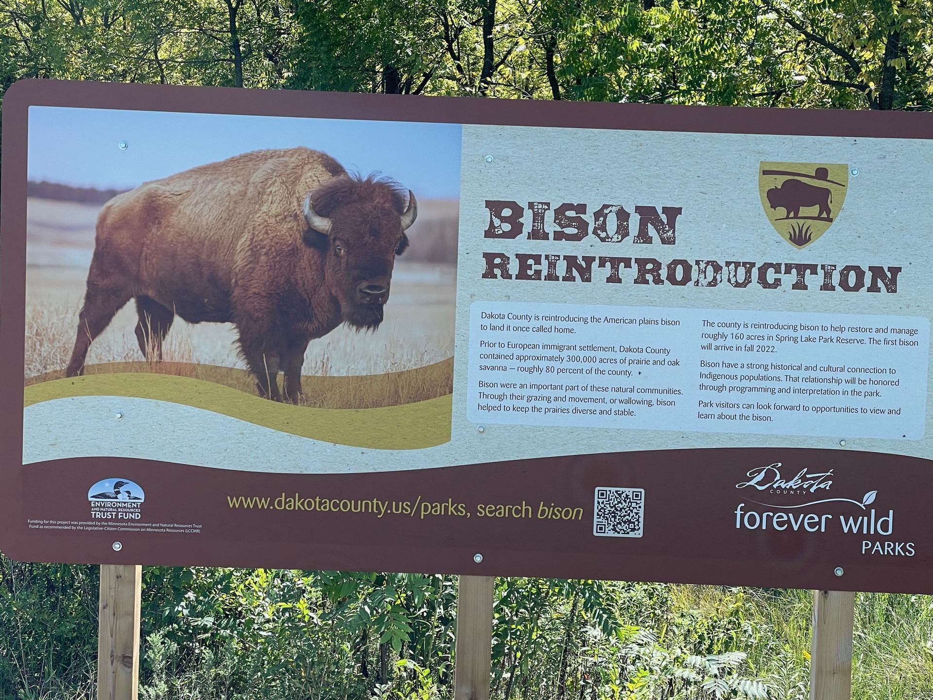 A brown sign with a bison image and text about bison reintroduction.