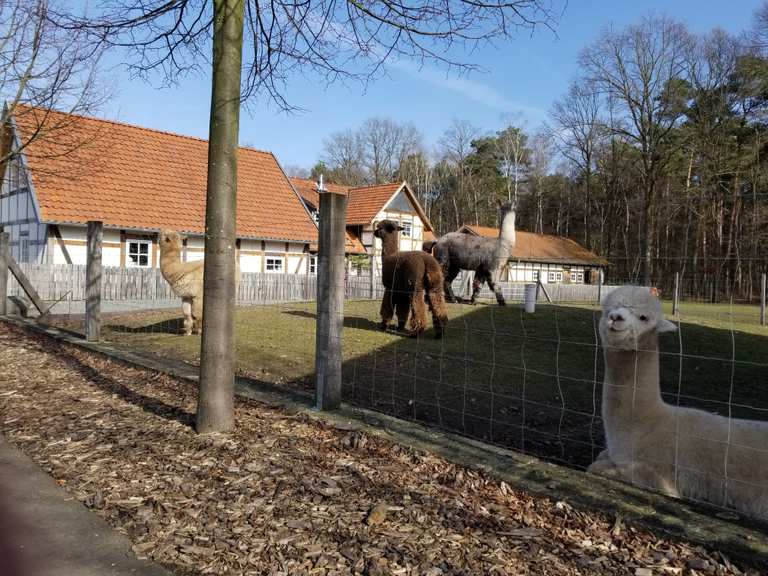 Alpaka Ranch Radtouren und Radwege komoot