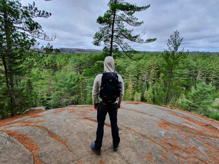 Two Rivers Trail loop — Algonquin Provincial Park | escursione | komoot