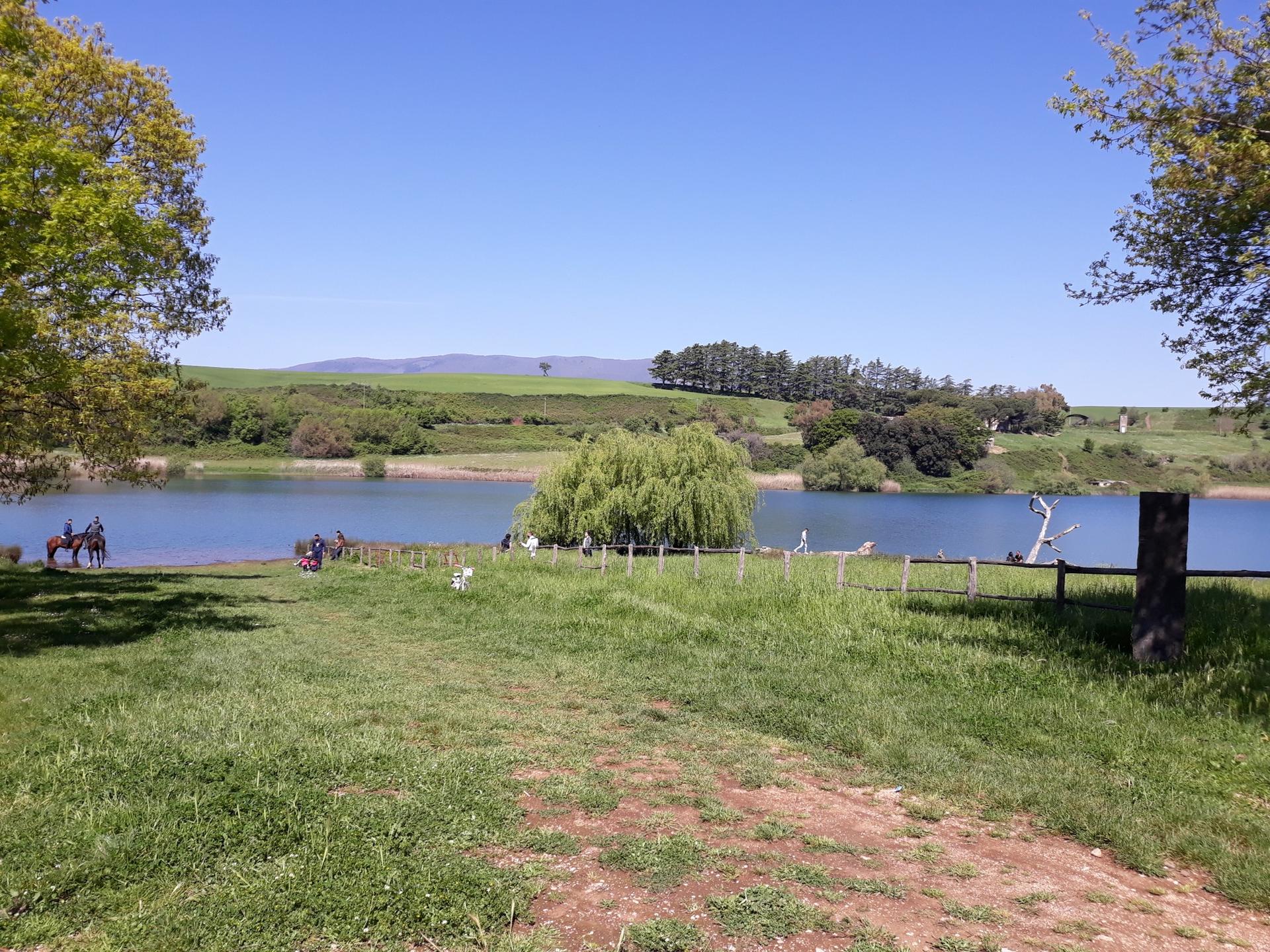 Bilancio di sostenibilita_2024_ITA_DIGITAL-Med by BottegaVerde - Issuu, image size:1920x1440