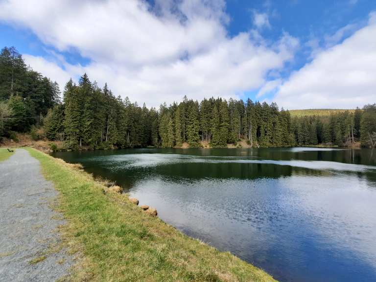 Schalker Teich Wanderungen und Rundwege komoot