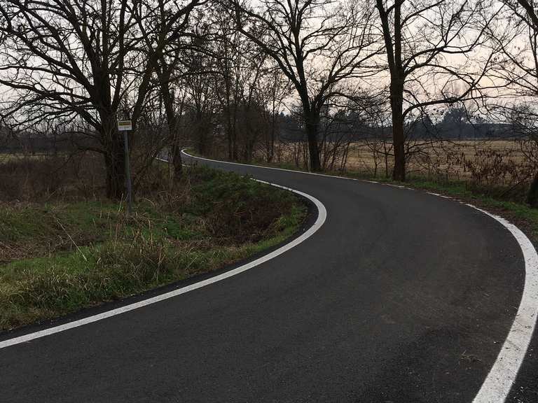 Divertenti trails in MTB alle porte di Milano presso il Parco Cassinis