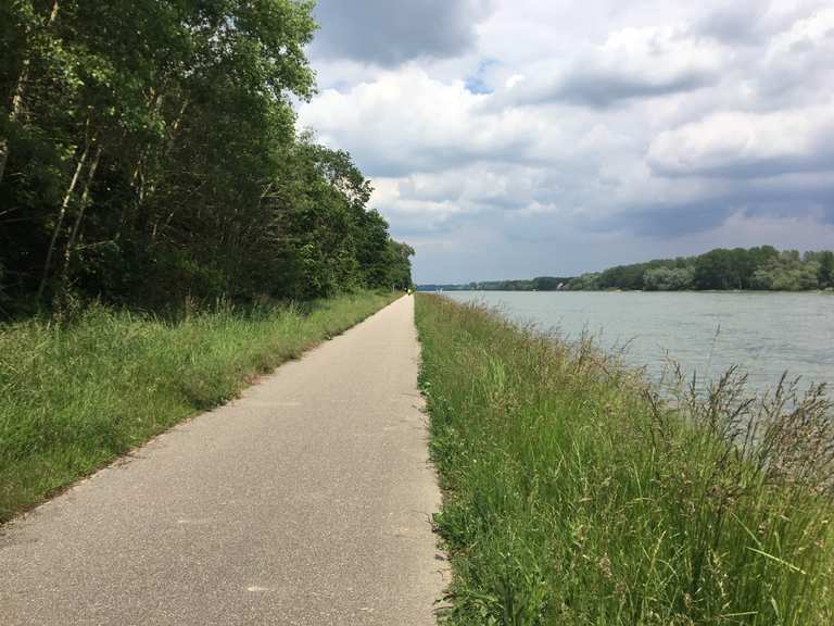 Wunderschöner Radweg am Wasser entlang Neuburg am Rhein