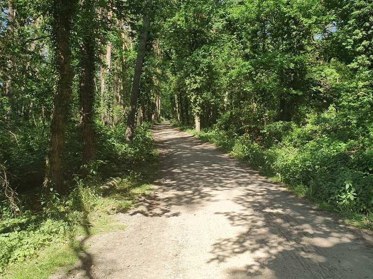 Effeld: Wanderungen und Rundwege | komoot