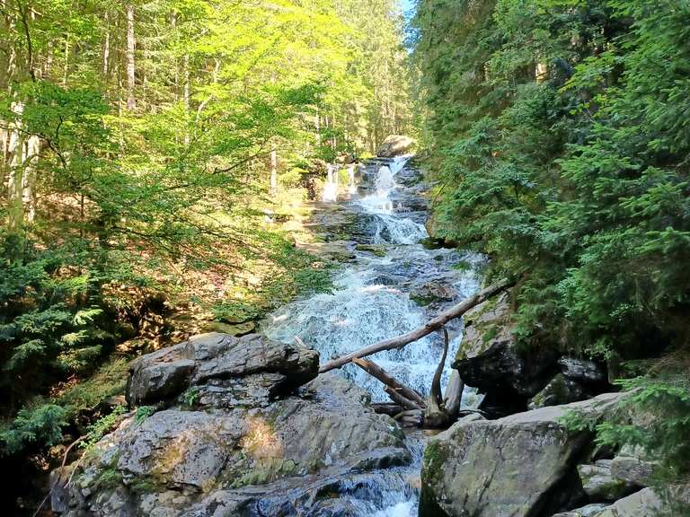 Rieslochfälle bei Bodenmais: Wanderungen und Rundwege | komoot