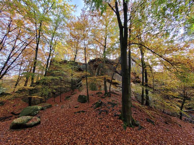 Bentheimer Klippen Oude Steengroeve Wandelroutes En Hikes Komoot