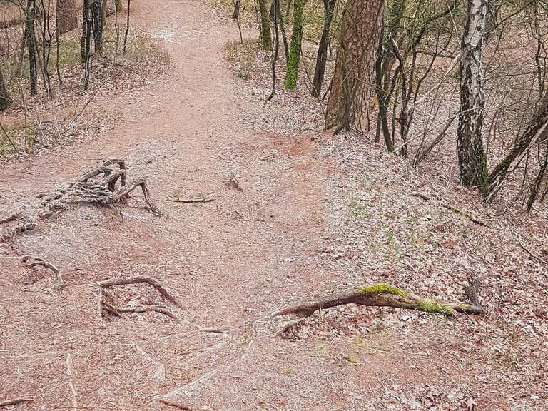 Die Osenberge, Sandkrug: Wanderungen und Rundwege | komoot