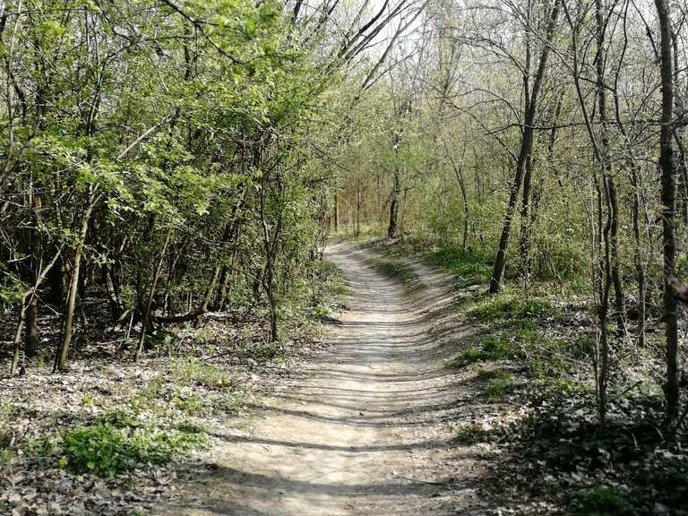 Ansa del fiume Torrente Idice Loop from Bologna Zanolini mountain