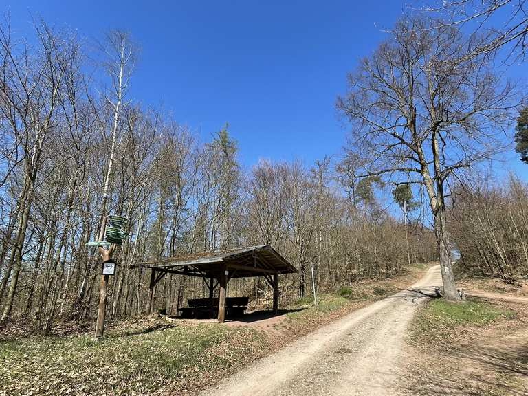Wartburgblick Hainichblick loop from Förtha (Kr Eisenach) hike Komoot