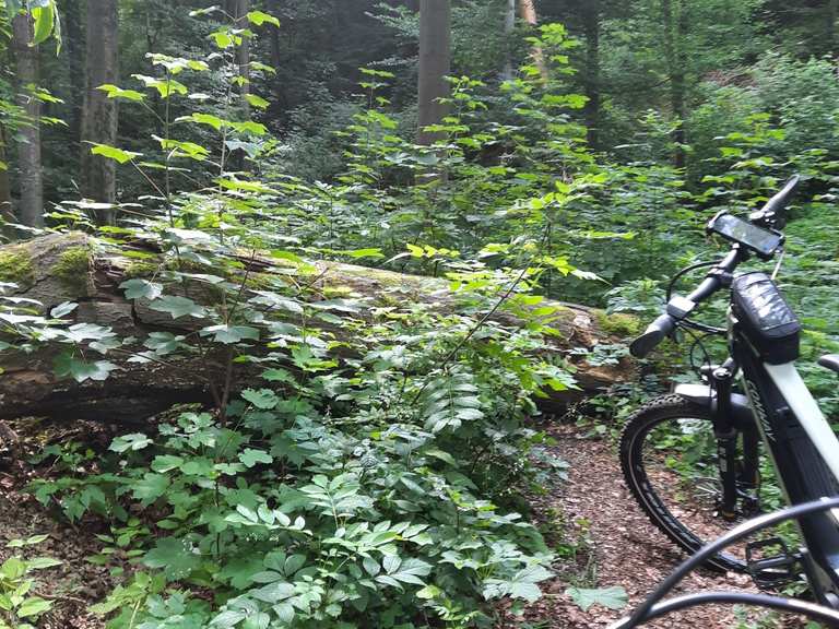 komoot mountain bike