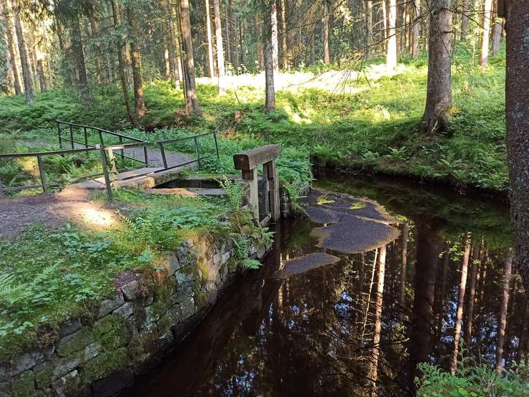 Fortuner Teich Ziegenberger Teich Runde von Buntenbock Wanderung