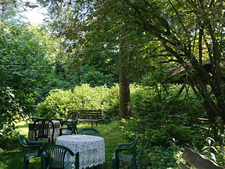 Waldcafé am Geyerschen Teich Wanderungen und Rundwege komoot