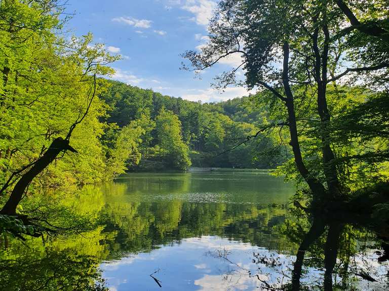Ehemaliges KneippKurHotel Wiesenbeker Teich Wanderungen und Rundwege