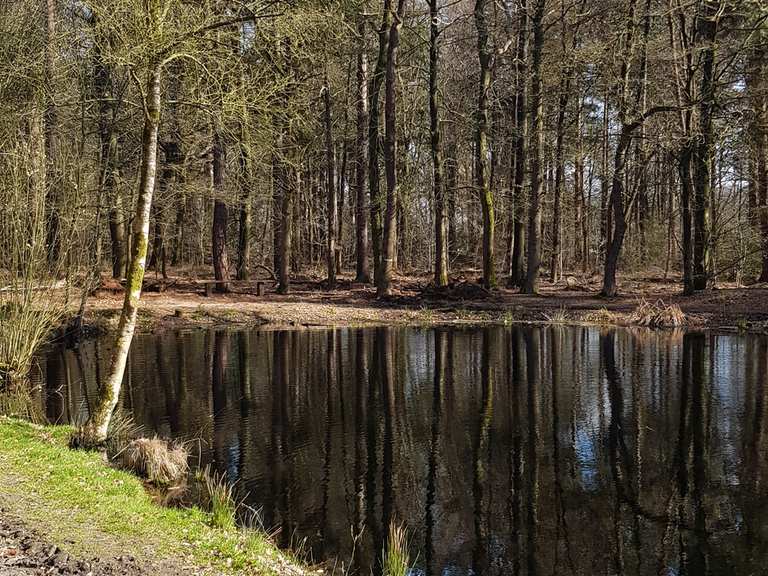De Oorsprongvijver – Legemeer Pond rondtocht vanuit Sint Nicolaasga | wandeling | Komoot