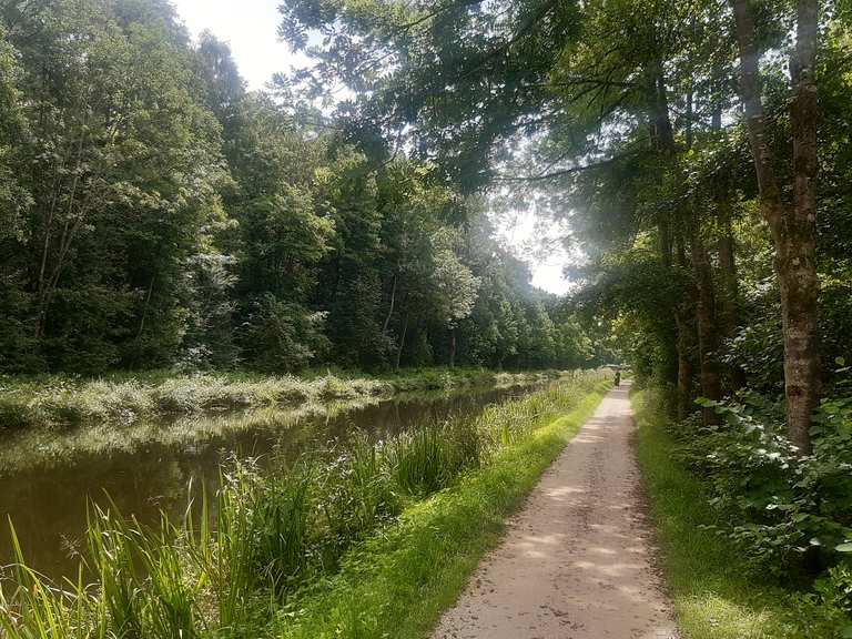 König Ludwig Kanal: Radtouren und Radwege | komoot