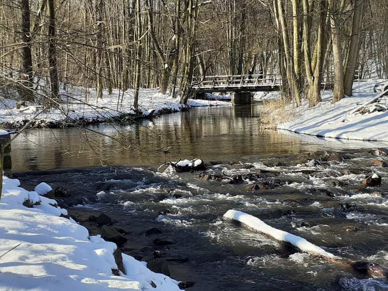 Vatteröder Teich Wanderungen und Rundwege komoot